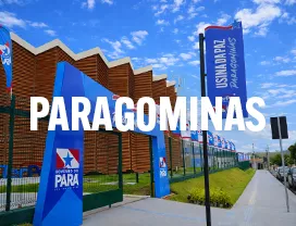 Usina da Paz Paragominas